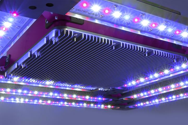 Commercial LED Grow Light